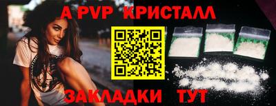 прущие грибы Нальчик