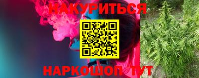 прущие грибы Нальчик