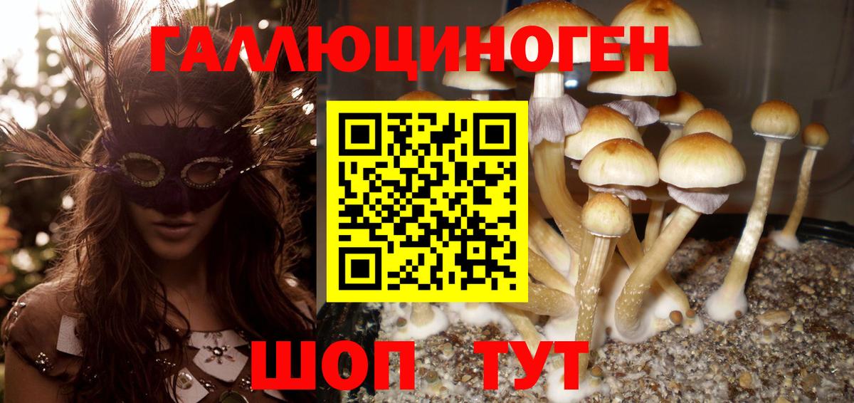 Псилоцибиновые грибы ЛСД  Вход с VPN  Уварово 